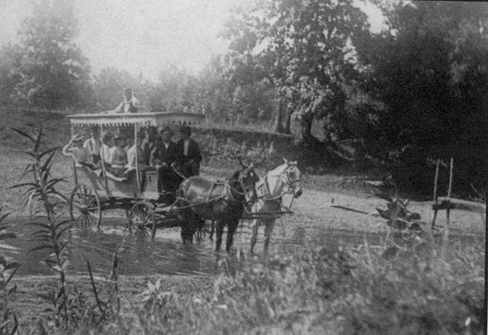 Buggy with horses on Seney Island